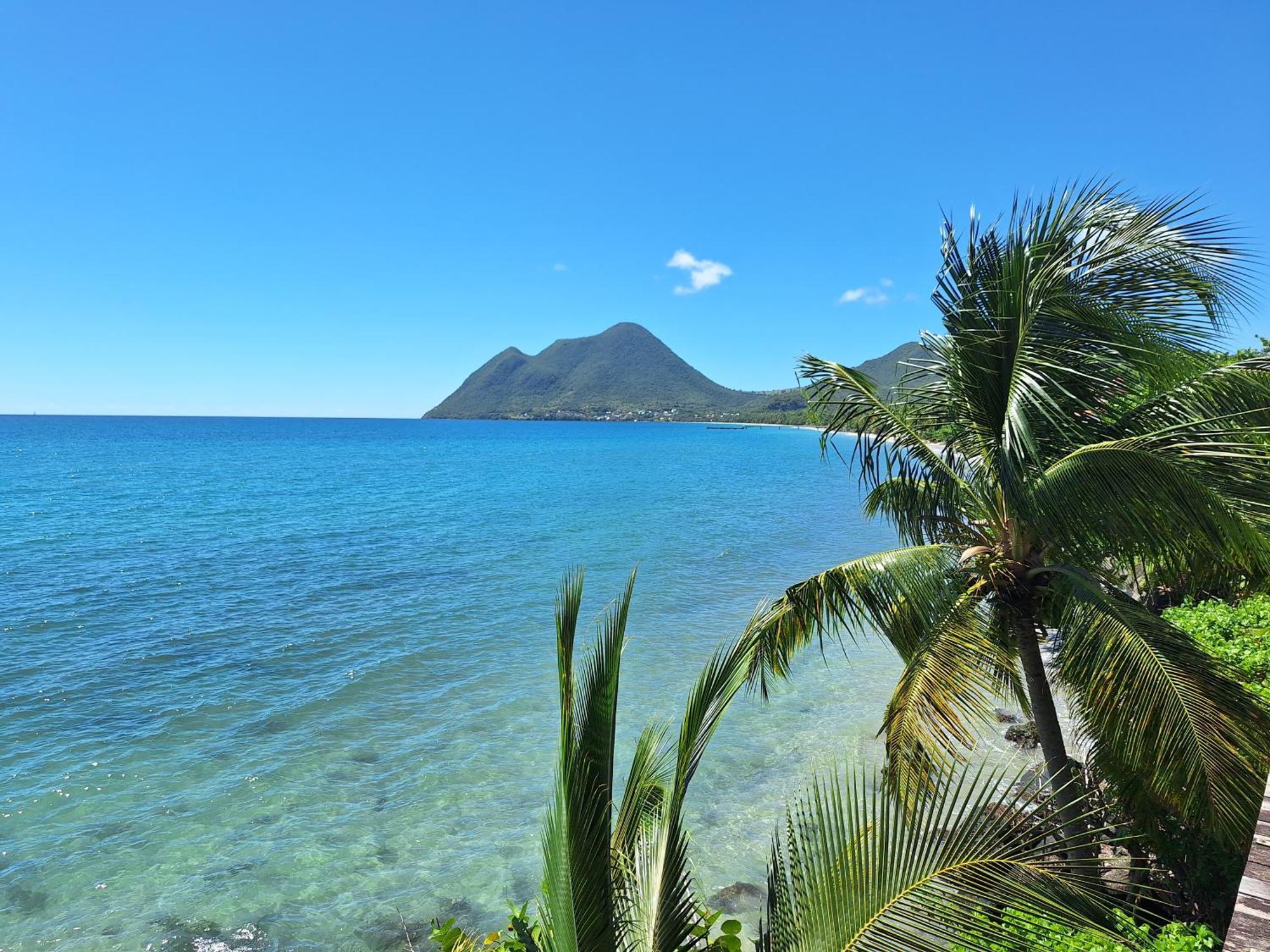 Le Madja'Kaz - Studio En Residence Et Bord De Mer - Sainte Luce Martinique المظهر الخارجي الصورة
