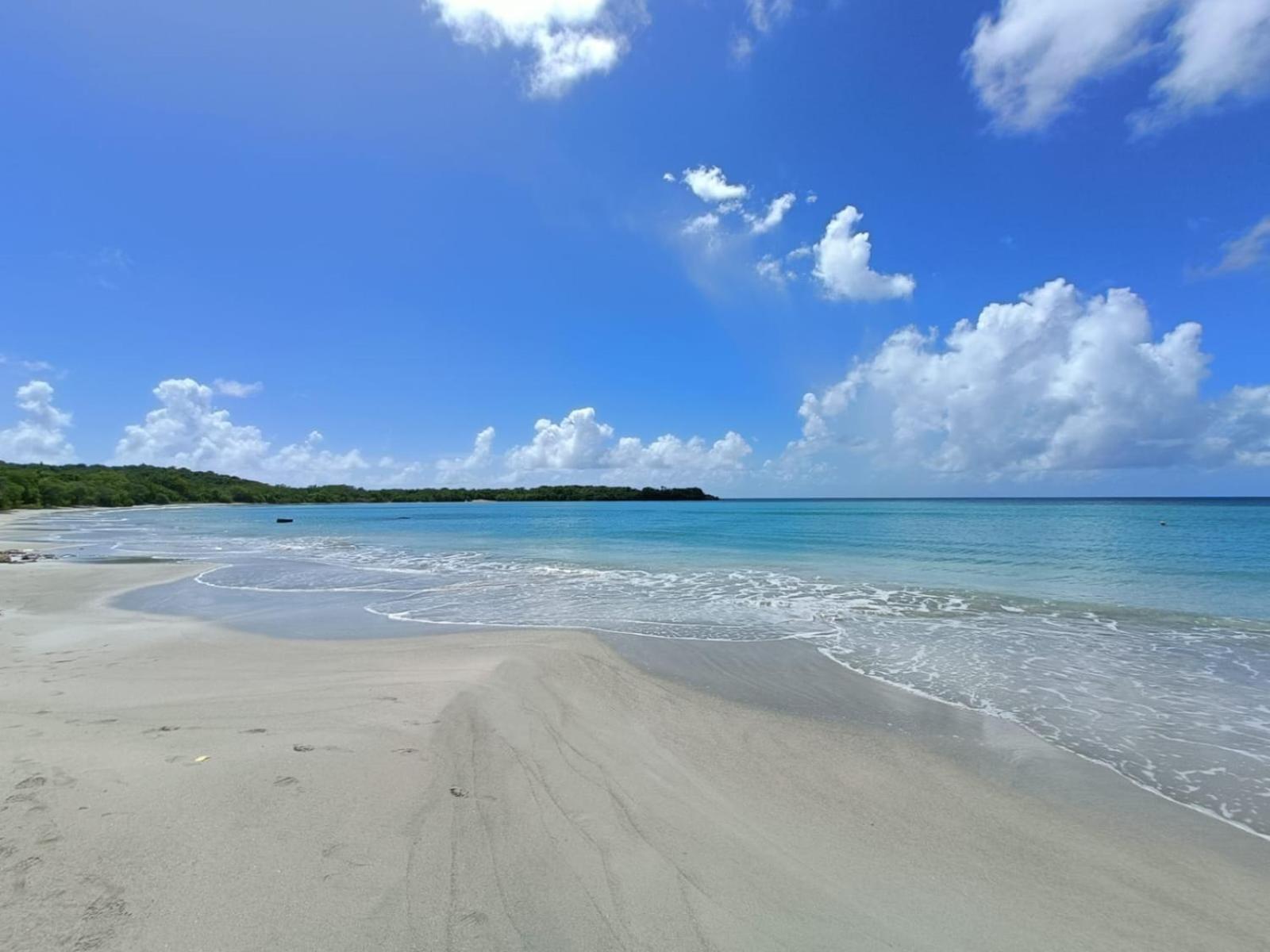 Le Madja'Kaz - Studio En Residence Et Bord De Mer - Sainte Luce Martinique المظهر الخارجي الصورة