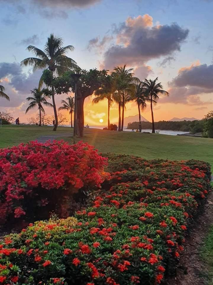 Le Madja'Kaz - Studio En Residence Et Bord De Mer - Sainte Luce Martinique المظهر الخارجي الصورة