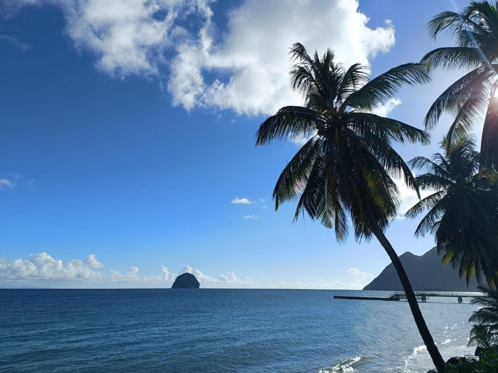 Le Madja'Kaz - Studio En Residence Et Bord De Mer - Sainte Luce Martinique المظهر الخارجي الصورة